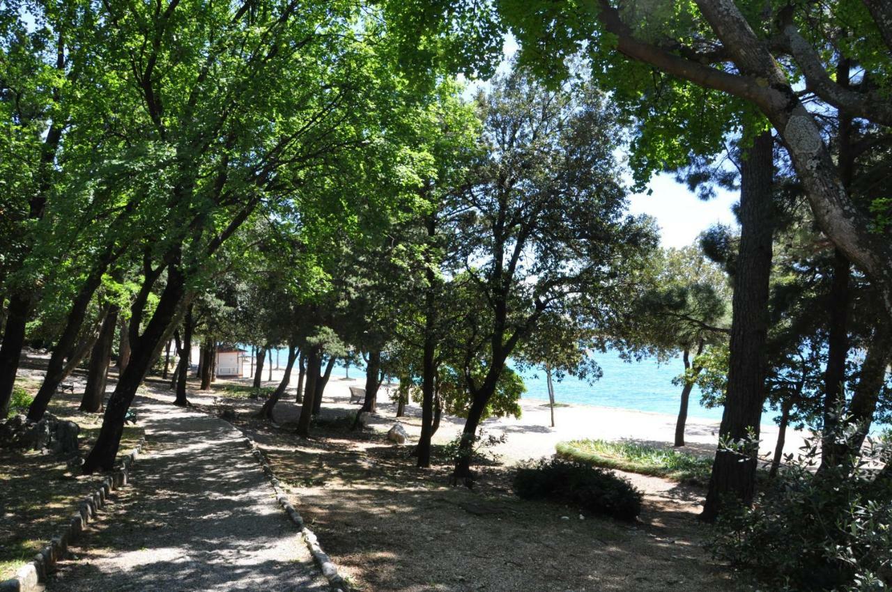Apartma Ana *